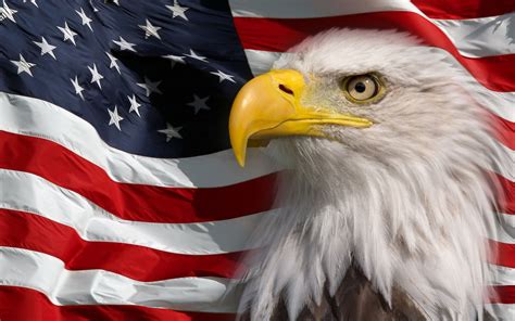 American Flag Eagle Wallpaper