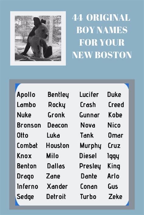 Suggestions By Nason~ Read on to learn all the reasons to love a Boston ...