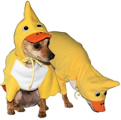 Yellow Duck Dog Costume | Dog costumes, Dog costume, Dog halloween