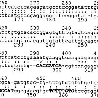 FASTA alignment (shown partially) of EST sequence gb|AA096771 with cDNA ...