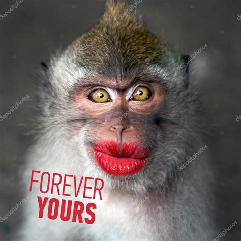 Funny monkey with a red lips — Stock Photo © watman #69190293