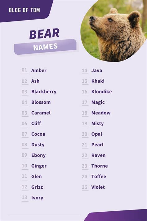 Bear Names (661 Best, Funny, Cute, & Famous Ideas) | Bear names, Polar ...