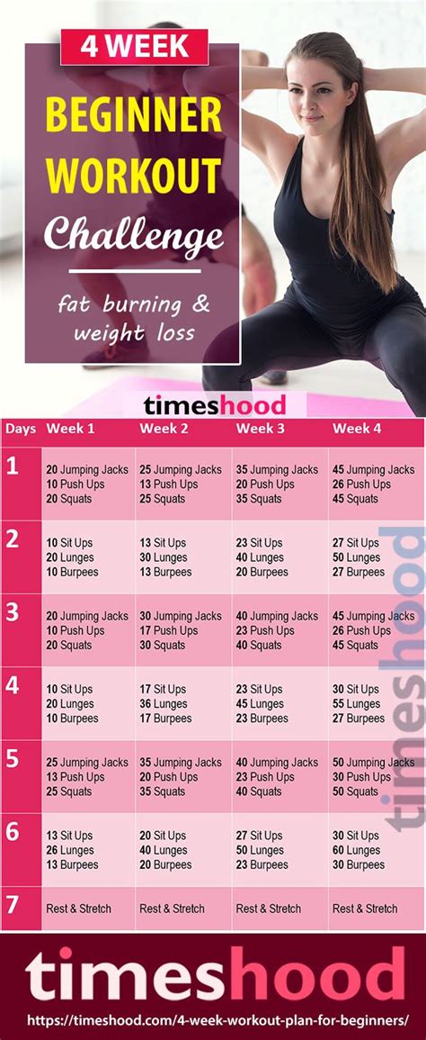 Beginners Gym Workout Female Weight Loss - Mocksure