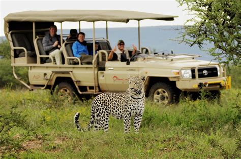 Safaris » Voyage - Carte - Plan