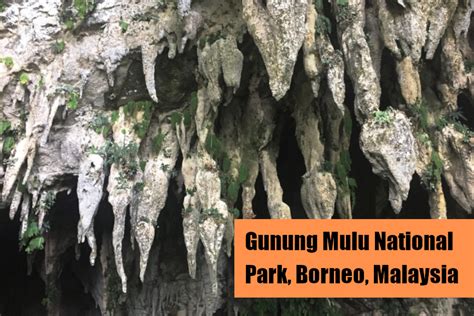 Amazing Caves of Gunung Mulu National Park - All Over This Planet