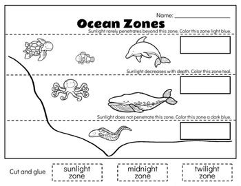 Ocean Zones by Pear Tree Academy Micro-school | TPT