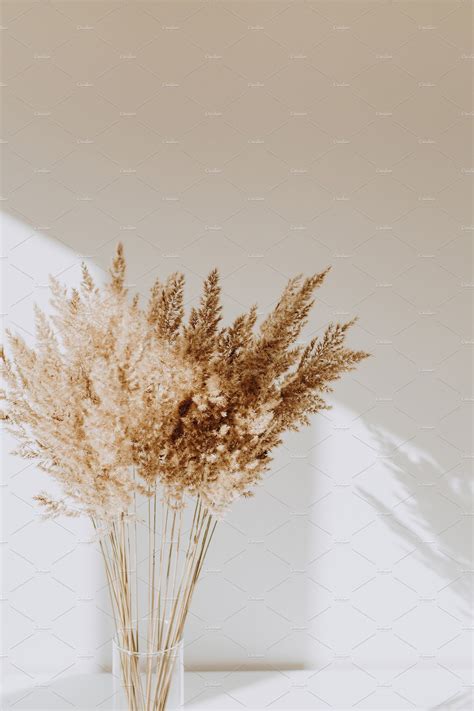 Reeds in vase by Floral Deco on @creativemarket background wallpaper ...