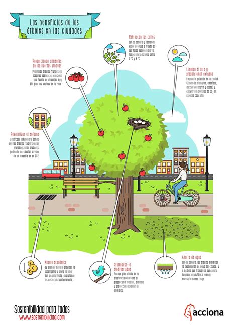 Los beneficios de los árboles en las ciudades | Día del arbol ...