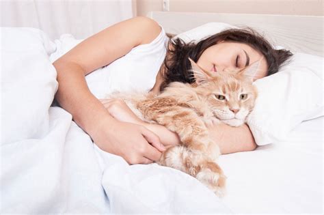 Why Does Your Cat Love Sleeping Next to You? | Flipboard