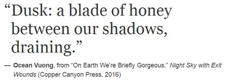 Ocean vuong poems night sky with exit wounds - airportdad