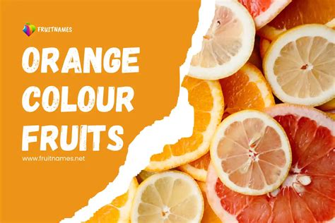 Orange Fruits: A Palette of Vibrant Fruits