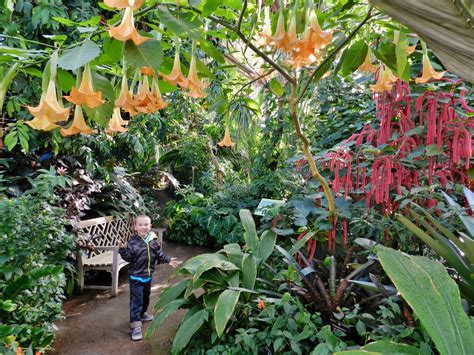 Wintertime Inside the Denver Botanic Gardens