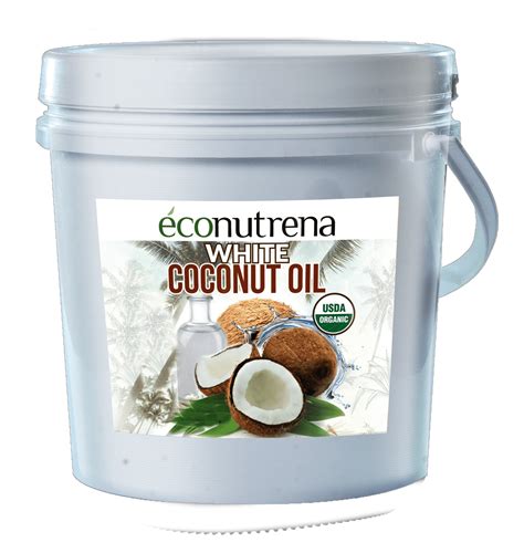 No.01 Organic Coconut Oil Bulk - Econutrena Coconut Products