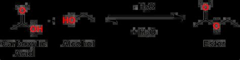 Esters – Functional Group Spotlight - Organic Chemistry Explained!