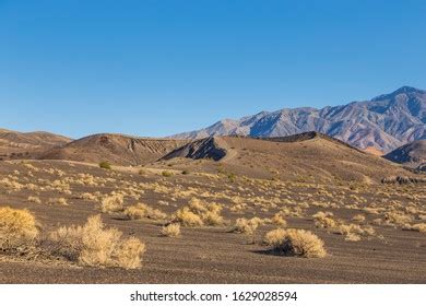 Ubehebe Crater Large Volcanic Crater Ubehebe Stock Photo 1629028594 ...