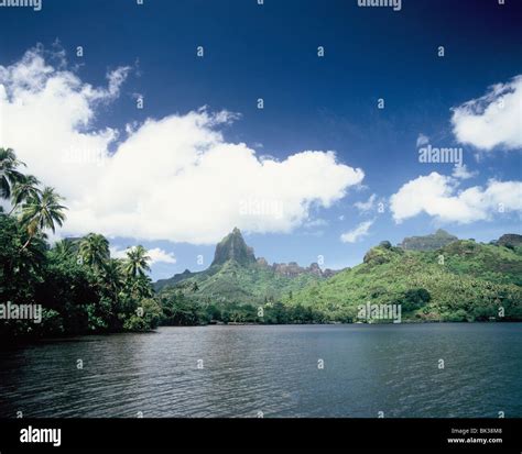 Cook's Bay, Moorea, Society Islands, French Polynesia, South Pacific ...