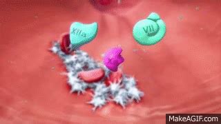 Blood Coagulation Gif