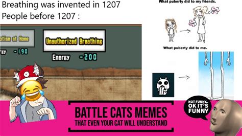 Some Battle Cats Memes That Even Your Cat Will Understand! - YouTube