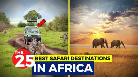 The 25 Best Safari Destinations In Africa... - YouTube