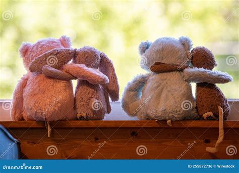 Couples of Stuffed Hugging Animals Stock Photo - Image of together ...