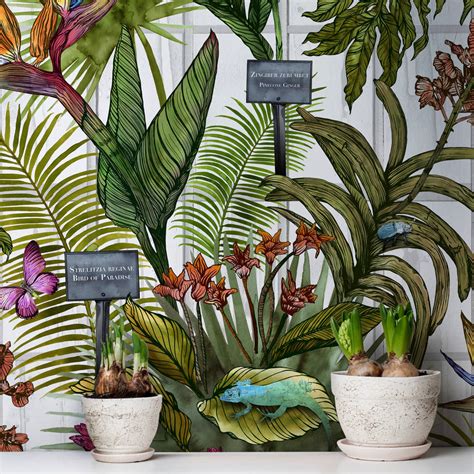 Glasshouse Tropical Botanical Print Wallpaper By Terrarium Designs ...