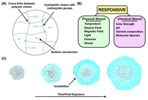 (A) Material structure of a superabsorbent polymer (sodium neutralized ...