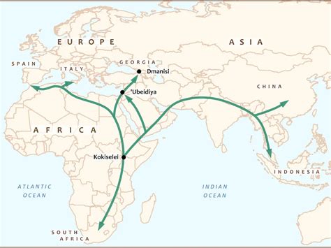 What Drove Homo Erectus Out of Africa? | Smithsonian