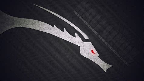 Kali Linux Black Wallpapers - Top Free Kali Linux Black Backgrounds ...