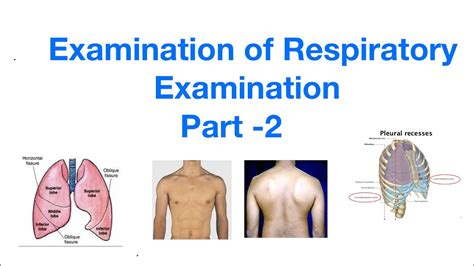 Examination of Respiratory System | Part 2| General Medicine | - YouTube