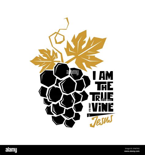 I am the true vine Stock Vector Images - Alamy