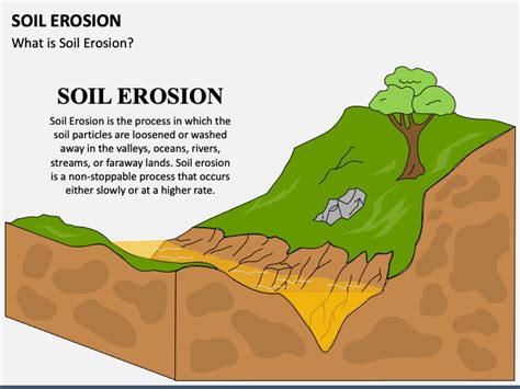 Soil Erosion PowerPoint and Google Slides Template - PPT Slides