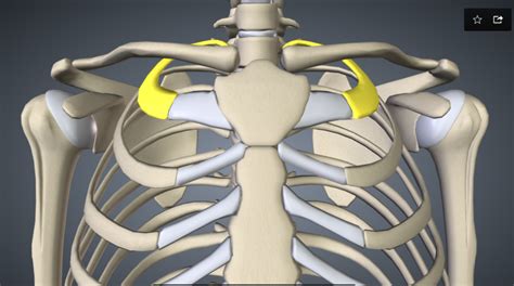 FIRST RIB SUBLUXATION | First rib, Rib out of place, Dislocated rib