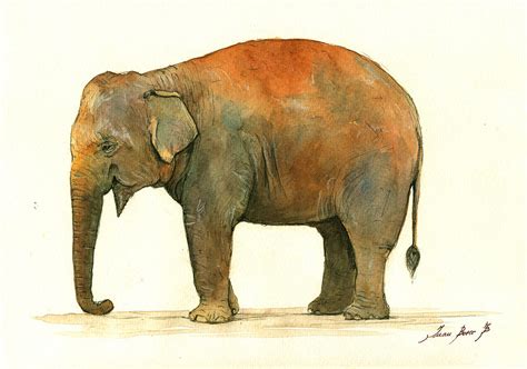 Asian Elephant Painting by Juan Bosco - Fine Art America