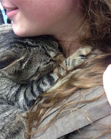 Shelter Cat Gives Volunteer the Biggest Hug and Won't Let Go... - Love Meow