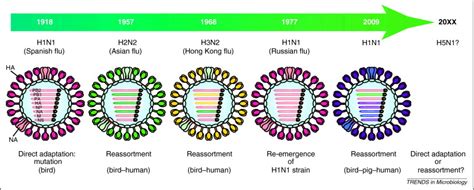 The changing nature of avian influenza A virus (H5N1): Trends in ...