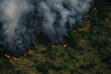 Kebakaran Hutan Amazon Meningkat « MYNEWSHUB