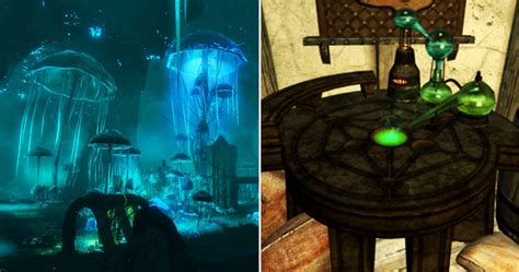 Skyrim: 10 Best Locations To Gather Alchemy Ingredients