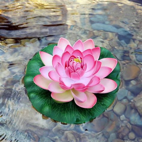 Lotus Flower Meaning What Is The Symbolism Behind The Lotus, 55% OFF