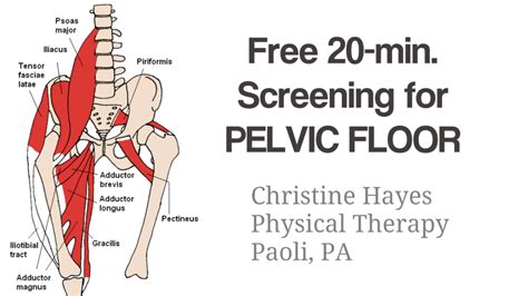 Pelvic Floor Pain? Get Treatment Now. Free Screening. 610-595-4020