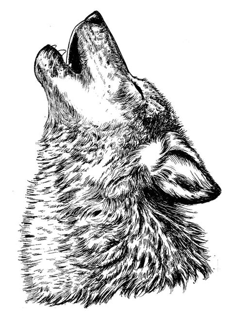 howling wolf | Wolf tattoo design, Howling wolf tattoo, Wolf tattoo sleeve