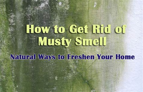 How to Get Rid of Musty Smell – 10 Best Ways for Musty Odor Removal