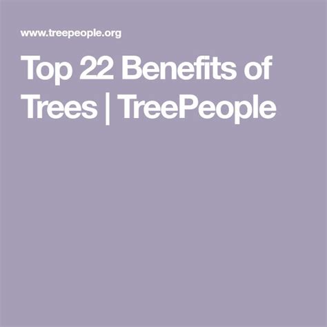 Top 22 Benefits of Trees | TreePeople | Tree, Benefit, Garden on a hill