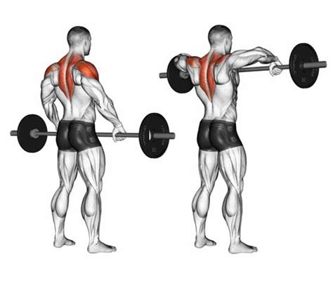 Exercises for Trapezius Muscle Relief