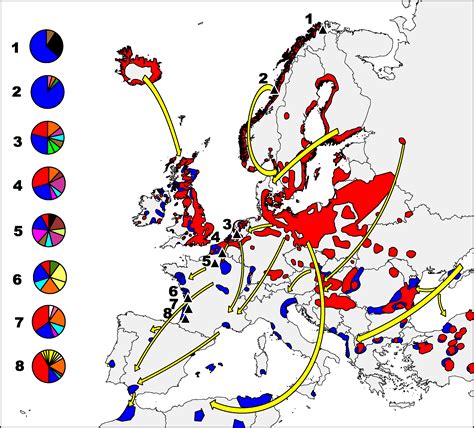 Duck Migration Map 2019