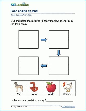 The Food Chains Worksheets | K5 Learning