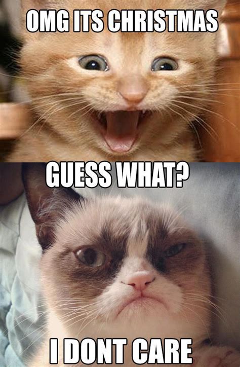 Grumpy cat (part 2) | Funny Grumpy cat memes