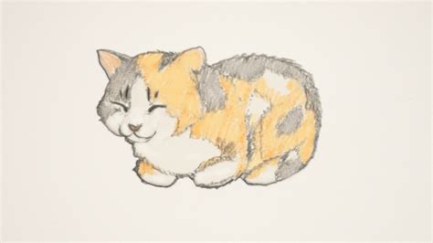 How to Draw a Cat: 4 Step-by-Step Tutorials