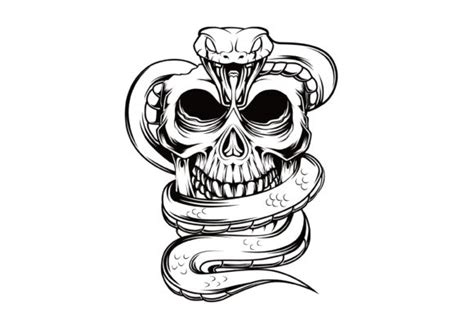 Snake Pierced Skull Svg, Snake And Skull Svg, Skull Snake ...