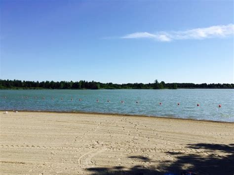 Beach is disgusting - Review of Binbrook Conservation Area, Binbrook ...