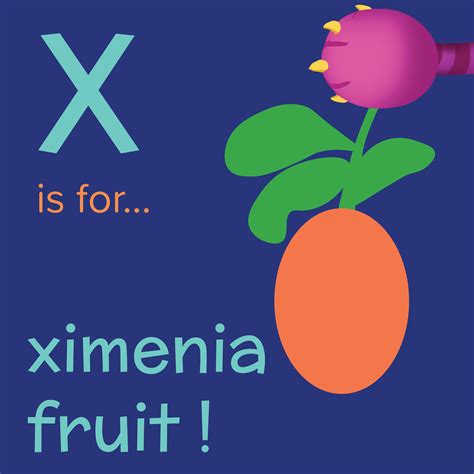 Nomster Chef | Foods that Start with X, X is for Ximenia Fruit | Fun ...